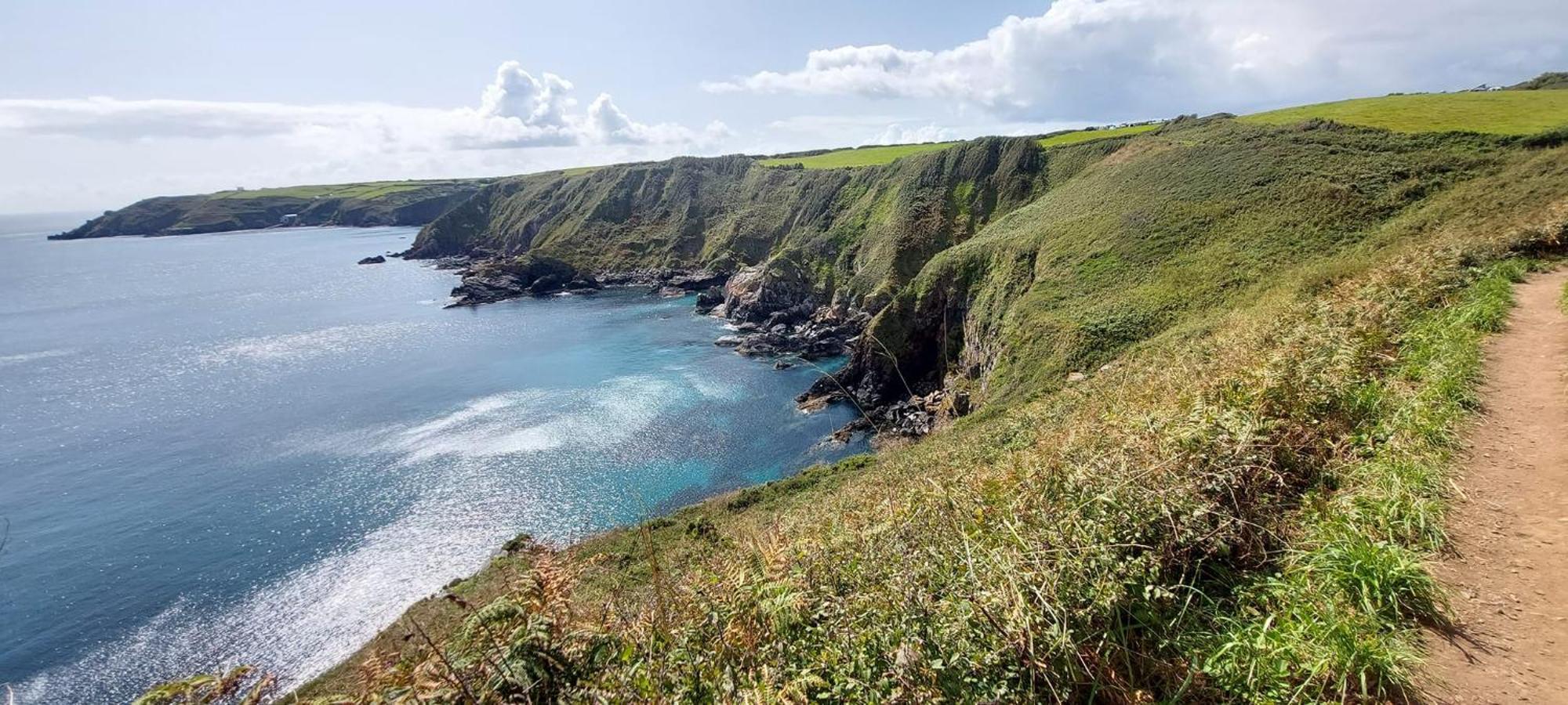 Cadgwith Cove Inn Экстерьер фото